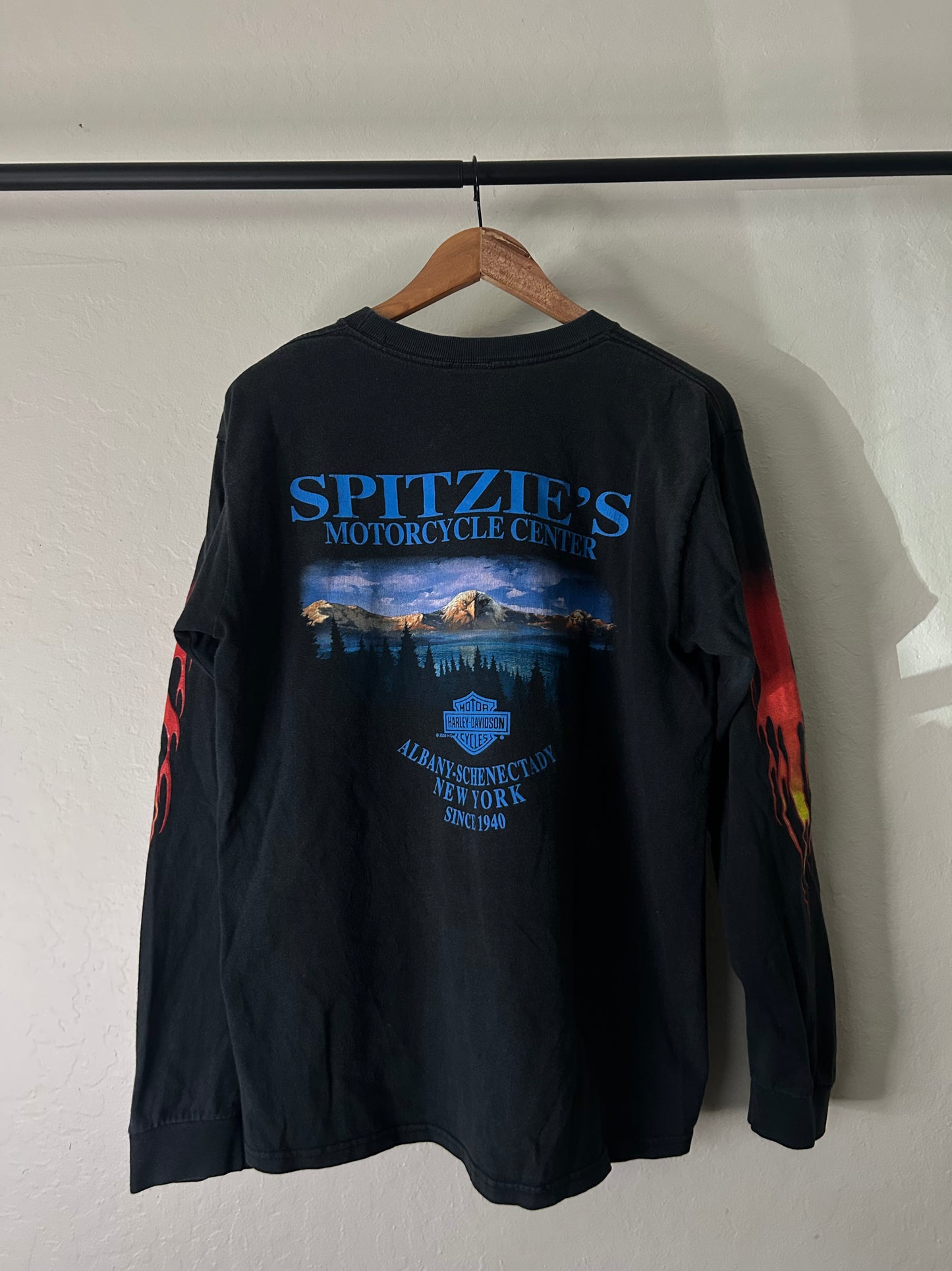 Vintage Harley Davidson Flame NY Longsleeve