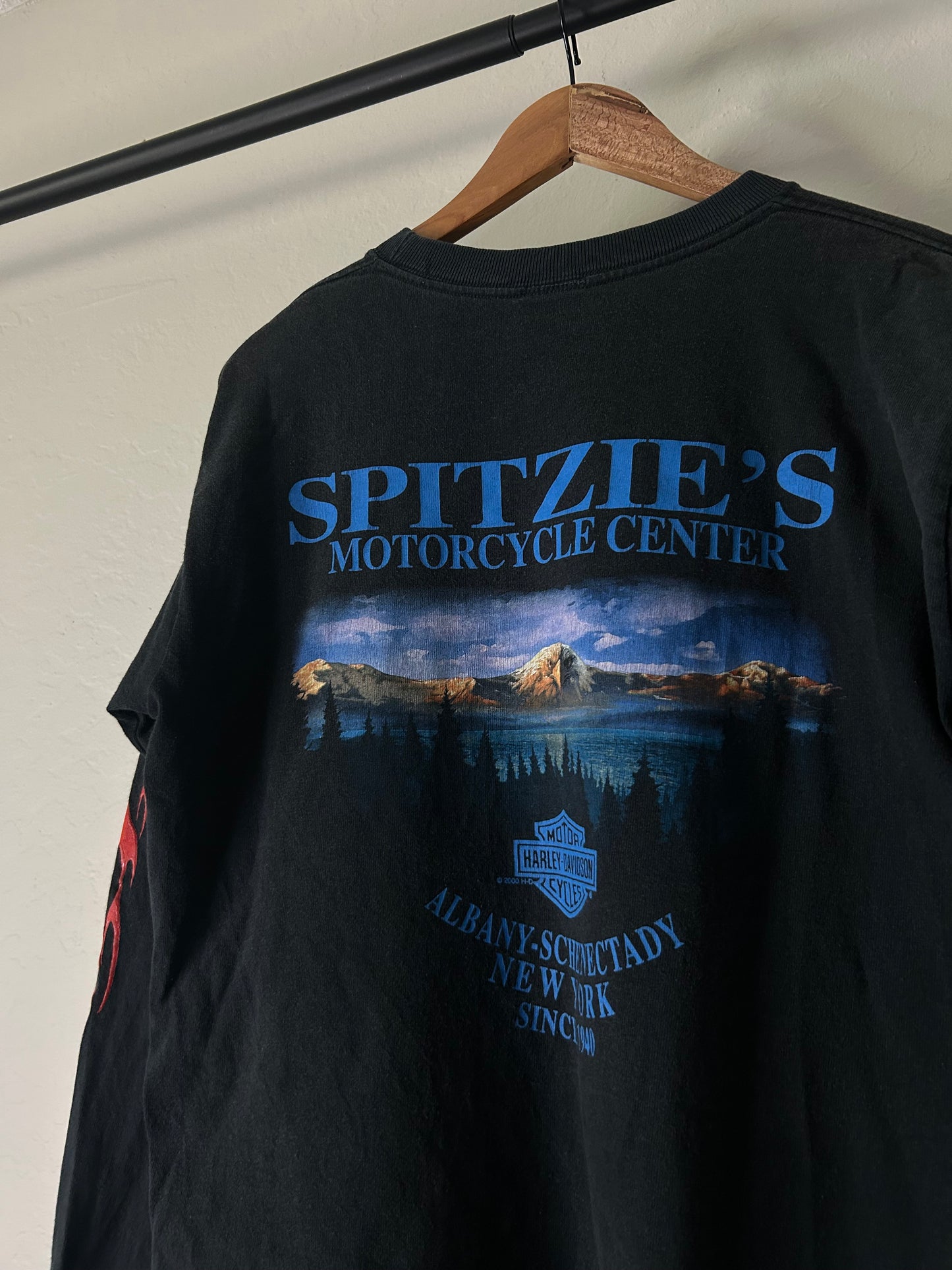 Vintage Harley Davidson Flame NY Longsleeve