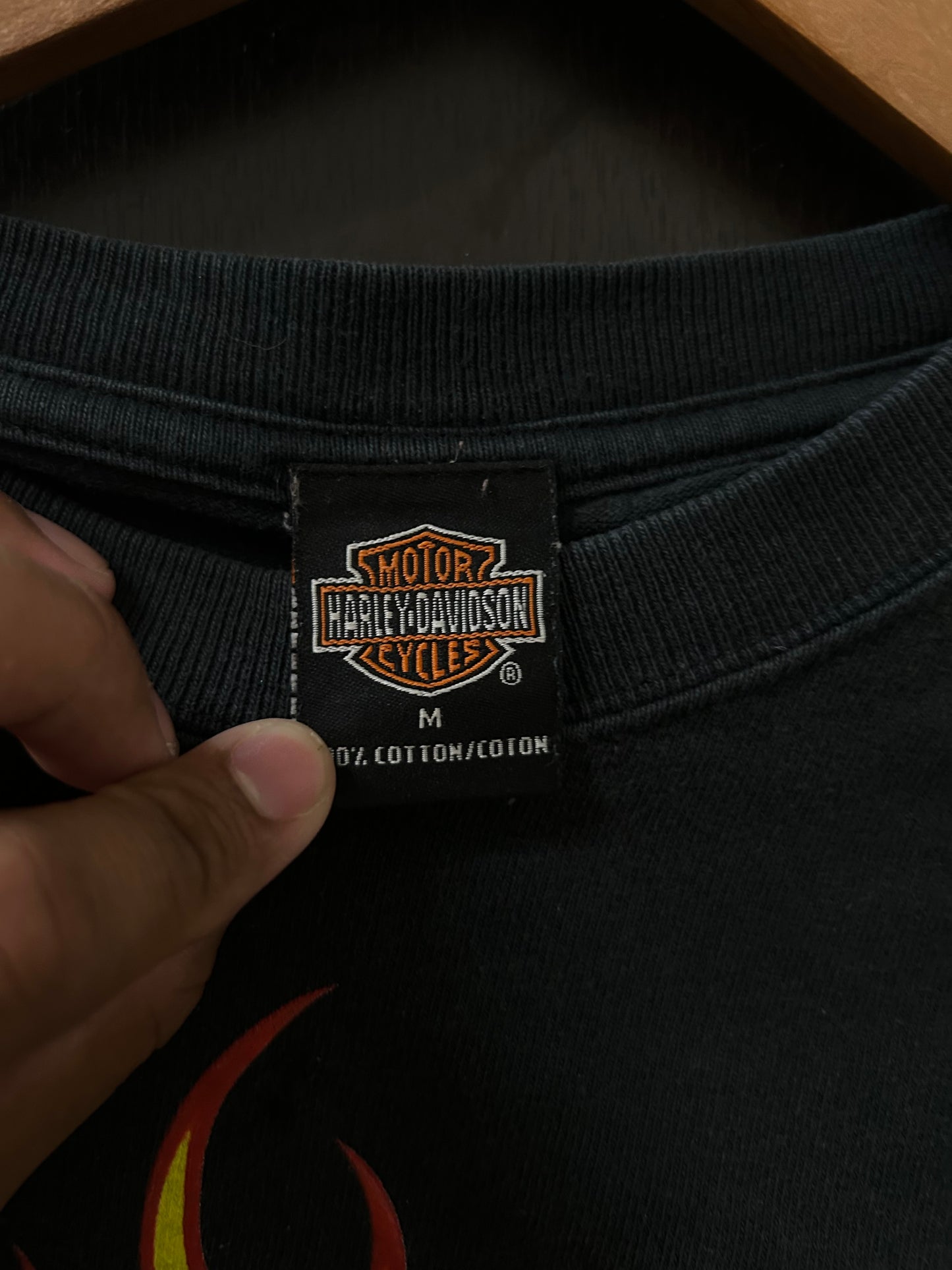 Vintage Harley Davidson Flame NY Longsleeve