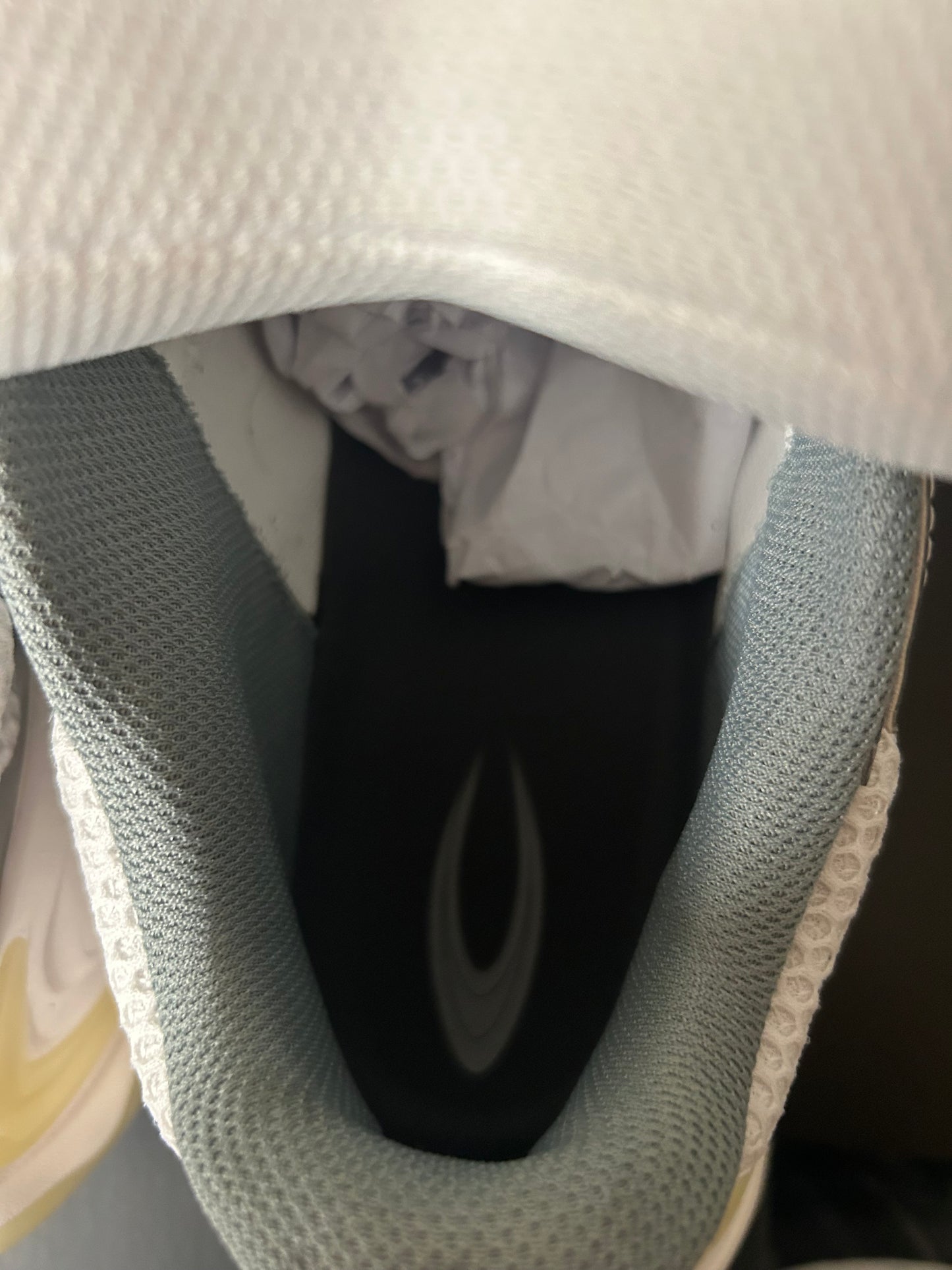 Type Various Zero “Snow White” Sneaker